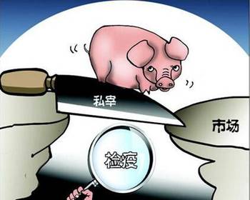 最新生猪屠宰管理条例