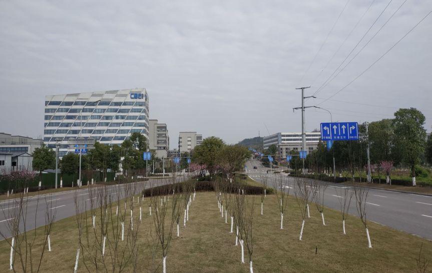 大厂楼盘房价最新消息，市场走势与影响因素分析