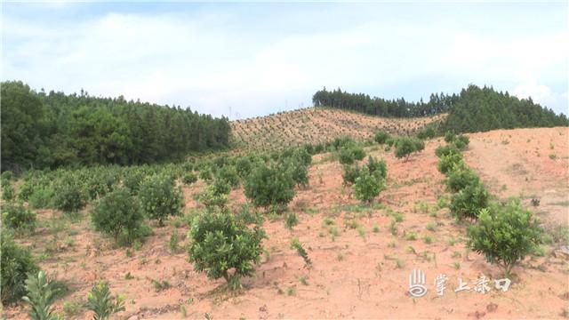 株洲县淦田镇官塘最新规划，塑造未来乡村新典范