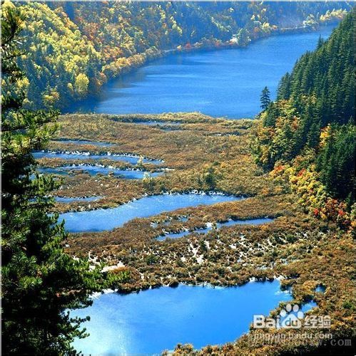 最新九寨沟旅游攻略