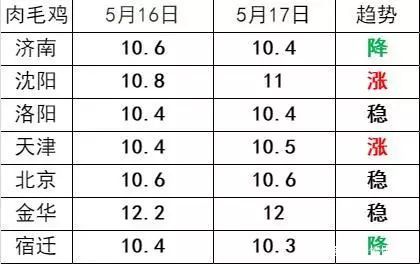 肉毛鸡价格最新行情走势分析