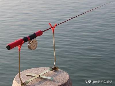 河北钓鱼网最新鱼讯，探索垂钓乐趣的新天地