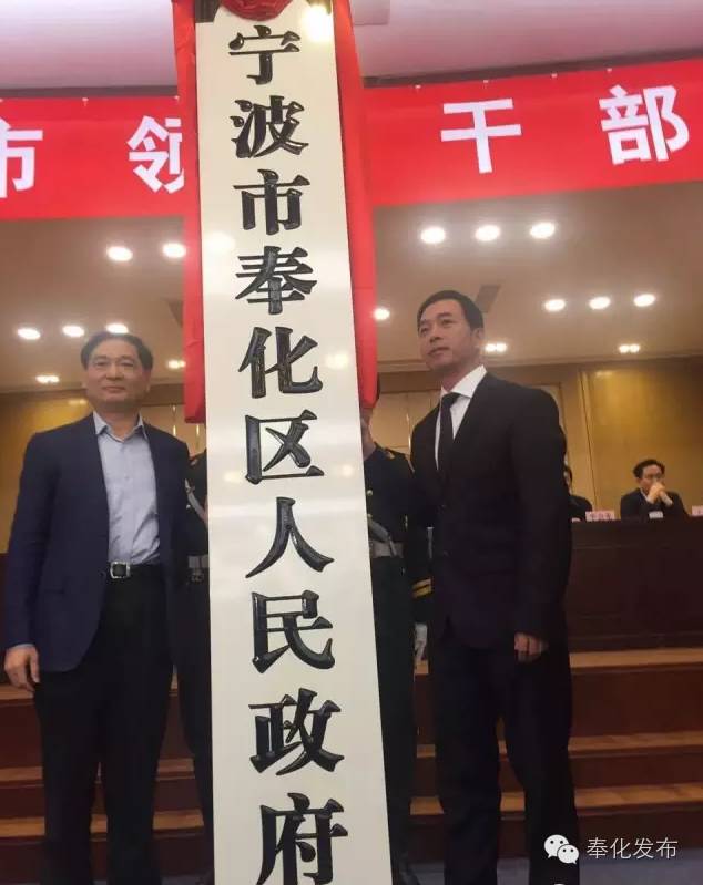 最新宁波市委常委名单解析