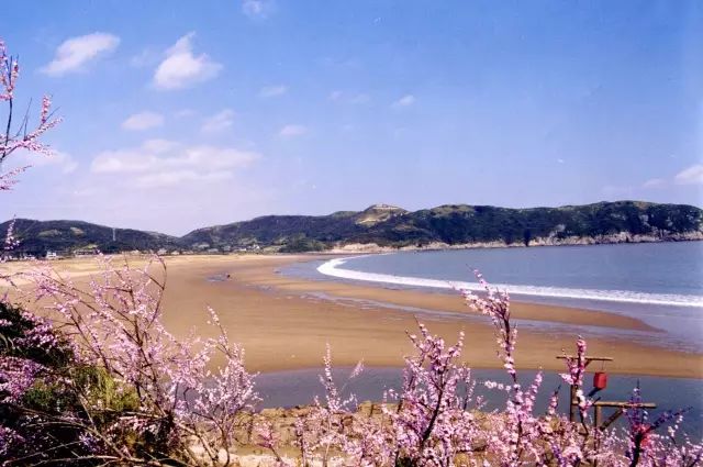兴化桃花岛最新新闻报道