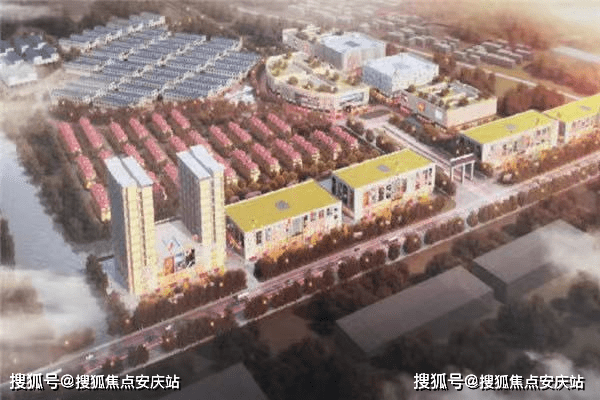 原阳县周庆民最新消息全面解析