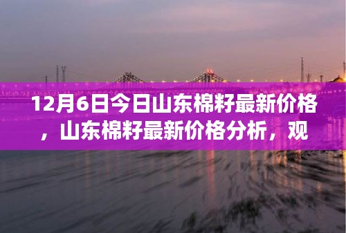 山东棉花最新价格分析，多少钱一斤？