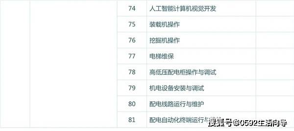 最新职业资格证书目录，探索职业发展的必备指南