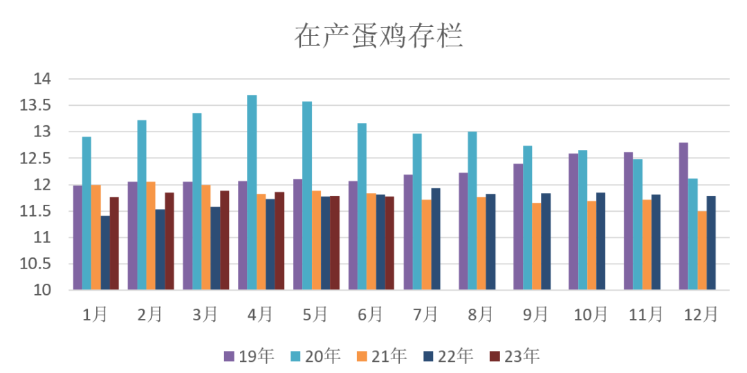 最新消息鸡旦走势深度解析