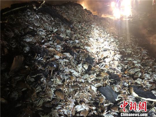 台州驾驶员招聘网最新招聘信息及行业趋势分析