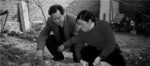 山东水泥厂最新消息深度解析