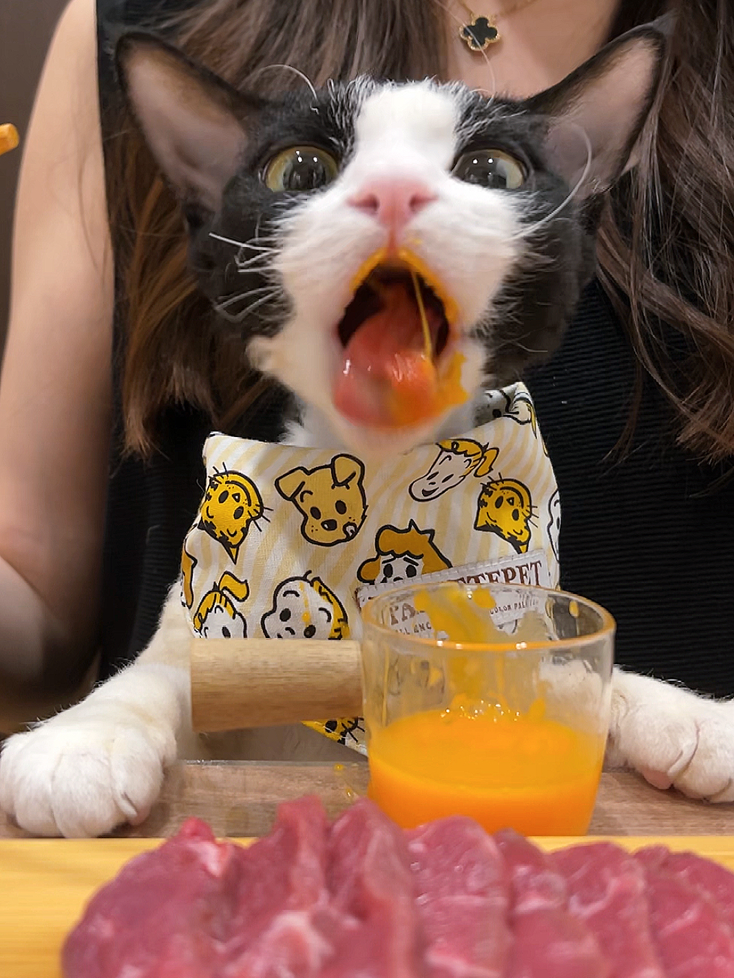 吃播猫小九最新一期，美食与萌宠的完美结合