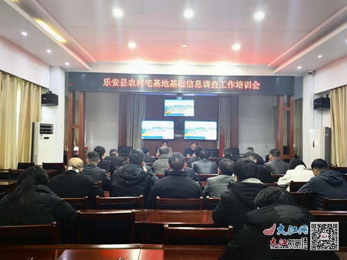 涡阳县教育局最新消息深度解读