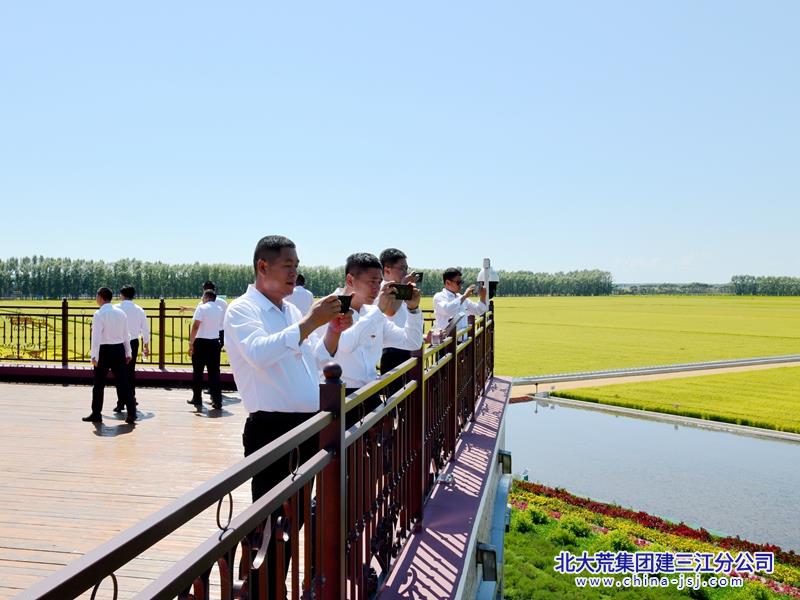 建三江信息港最新消息全面解读