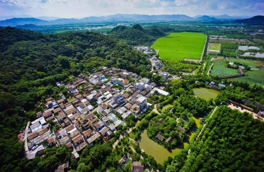 斗门五星村最新消息全面解读