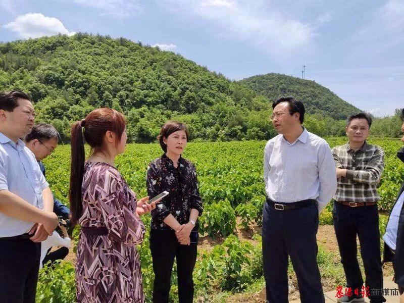 南漳县委书记的最新消息，引领发展，塑造未来