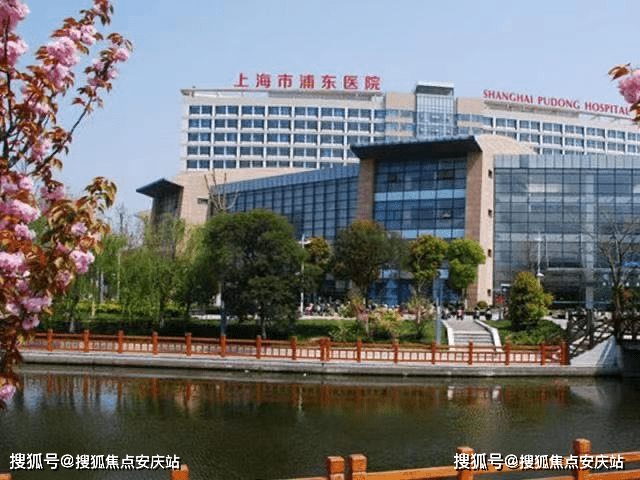 渝金所最新消息深度解析