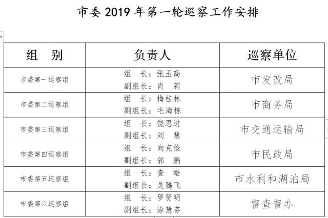 第八巡视组最新全体成员名单及其工作动态