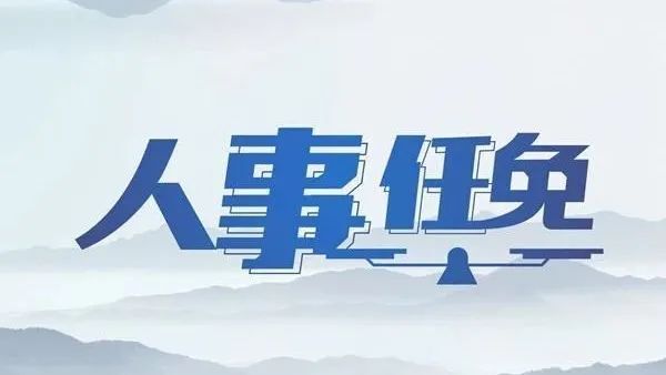 江苏省最新人事任免动态，汤正洪的新角色与未来展望