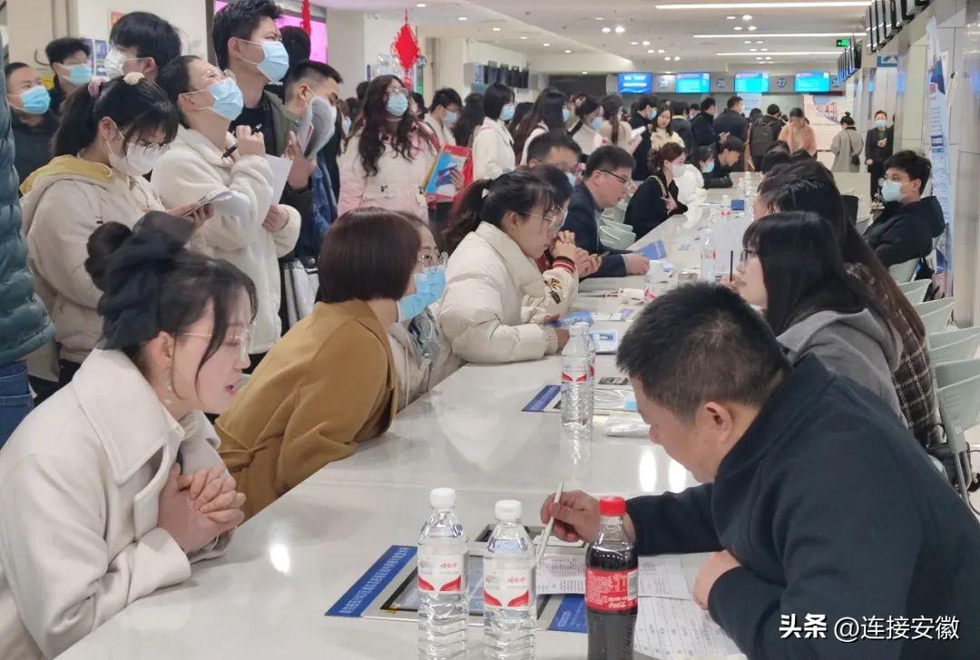 建材招聘网最新招聘动态，行业人才需求的深度解读与求职策略