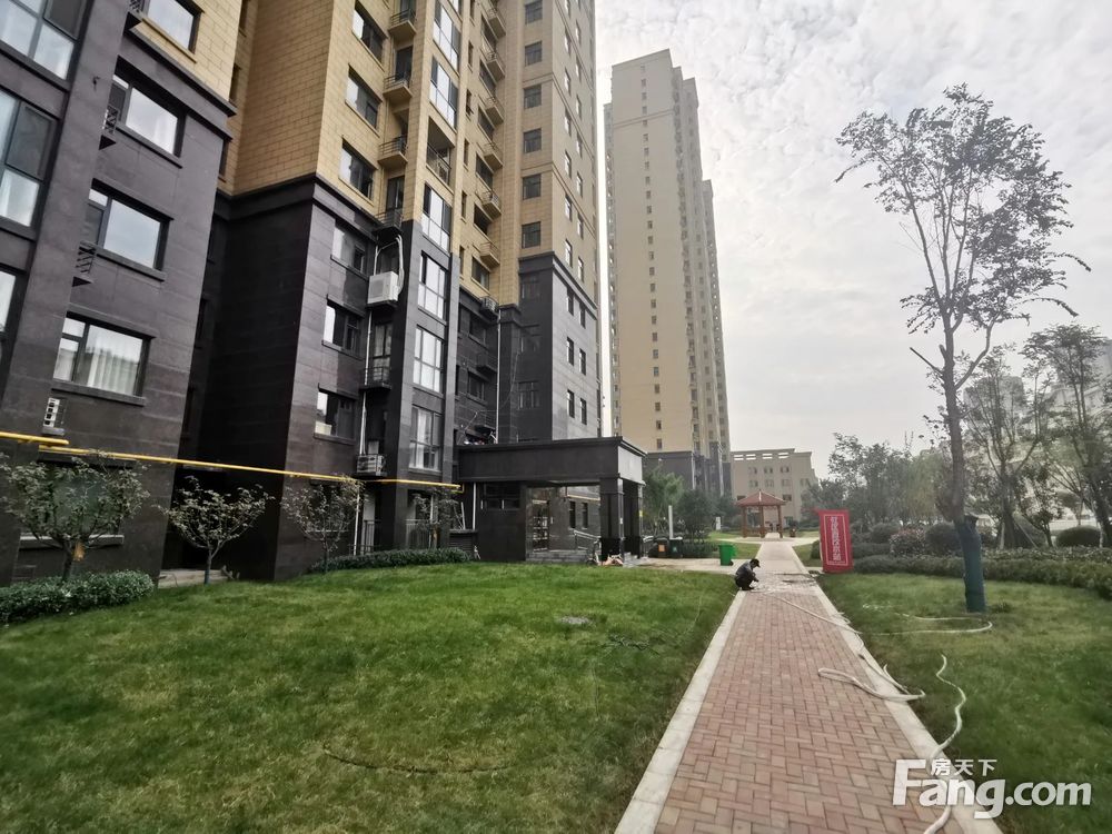 恒信绿地公馆最新消息深度解析
