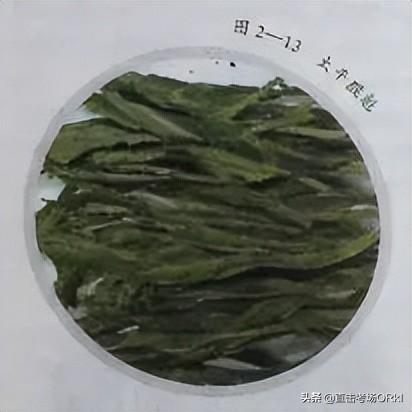 宣城中国茶府最新消息深度解析