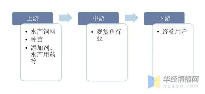 多宝鱼市场最新新闻，行业动态与前景展望