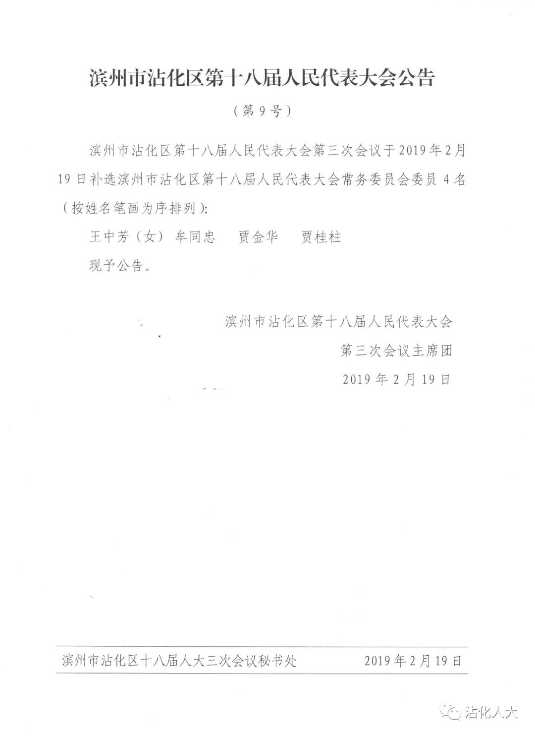 洋浦最新人事任免动态