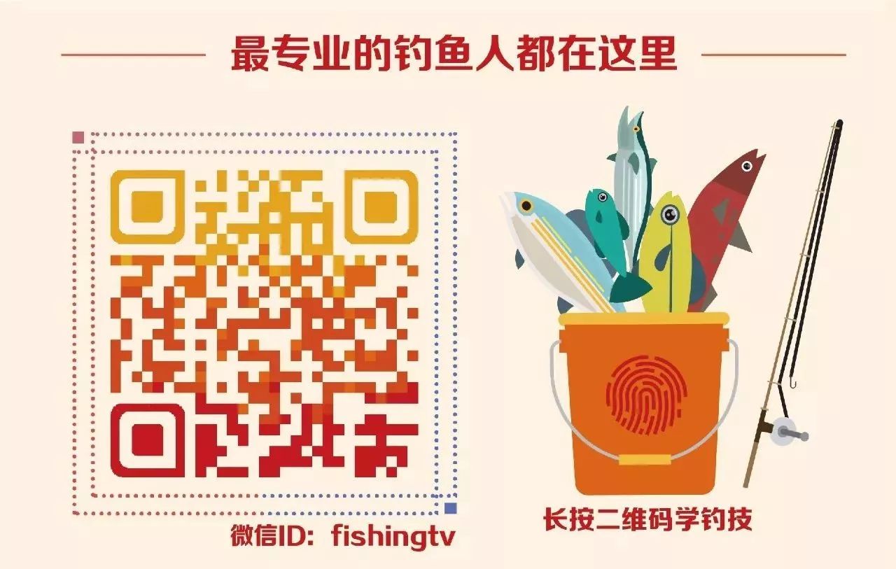 最新钓鱼微信群二维码分享与体验