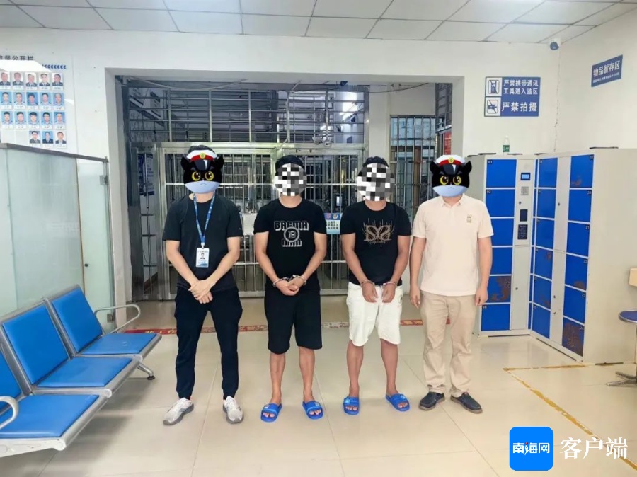 儋州最新网络诈骗案深度解析