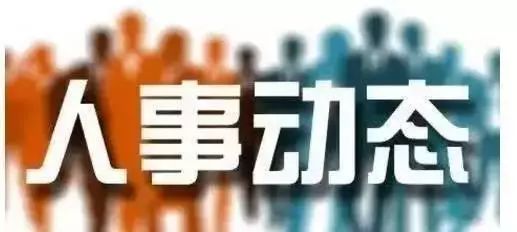 伊犁州最新干部任免动态及其影响
