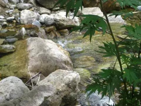 安康至张家界高铁最新消息，进展顺利，未来交通更便捷