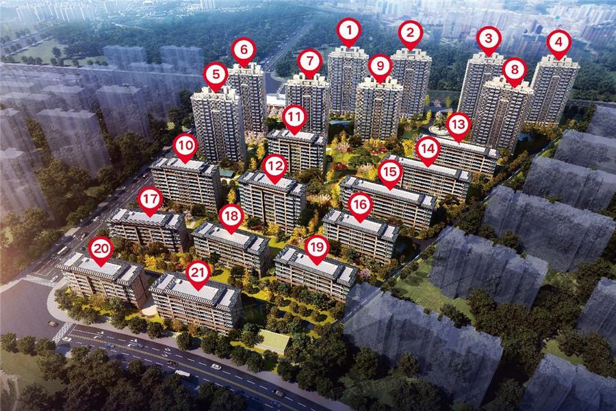 洛阳市紫悦府最新消息深度解析