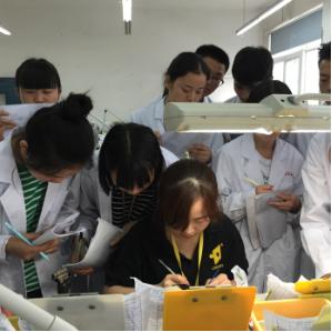 中国铁路人才网最新招聘信息及其影响