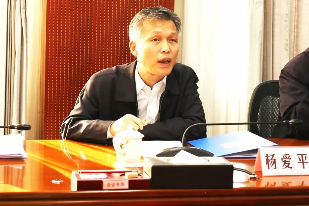 杨爱平2016最新消息，事业新篇章与个人成长历程