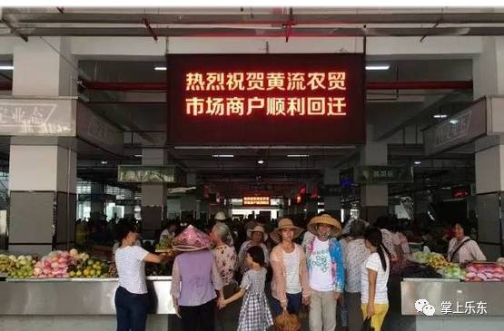 石家庄市最新鱼讯，繁荣的水产市场与多彩的鱼文化