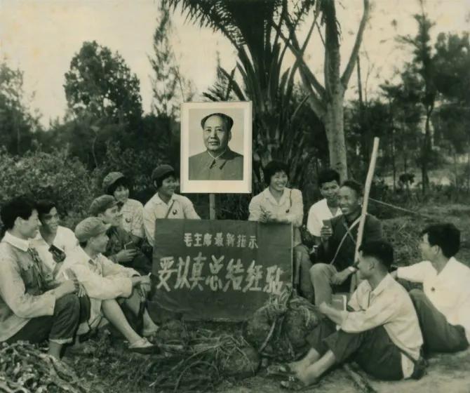 农垦医院改革最新消息，迈向高质量发展的新征程