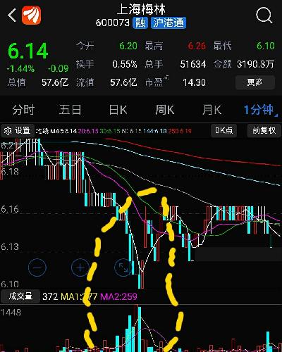 上海梅林股票最新消息深度解析