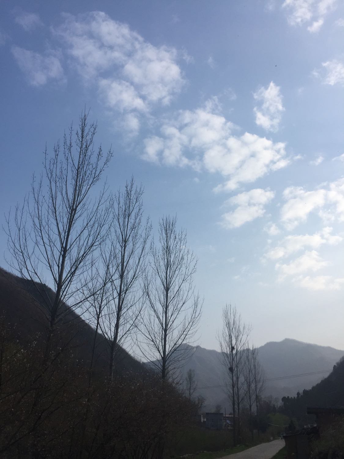 栾川今日最新天气预报