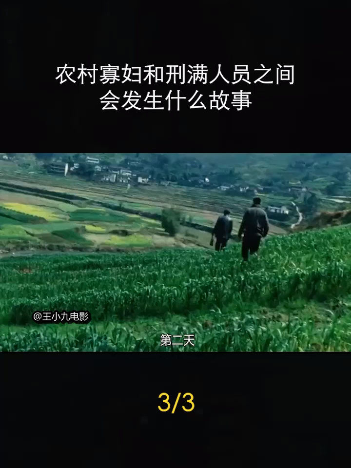 乡村寡妇村，最新章节下的故事交织