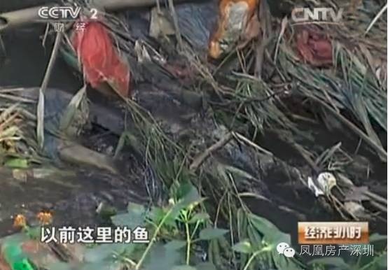 章阁垃圾场最新动态，环保科技引领未来垃圾处理新模式