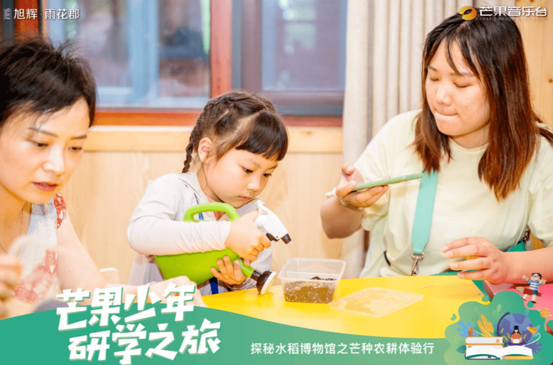 盒子鱼官方下载最新版，探索与学习的新时代伙伴