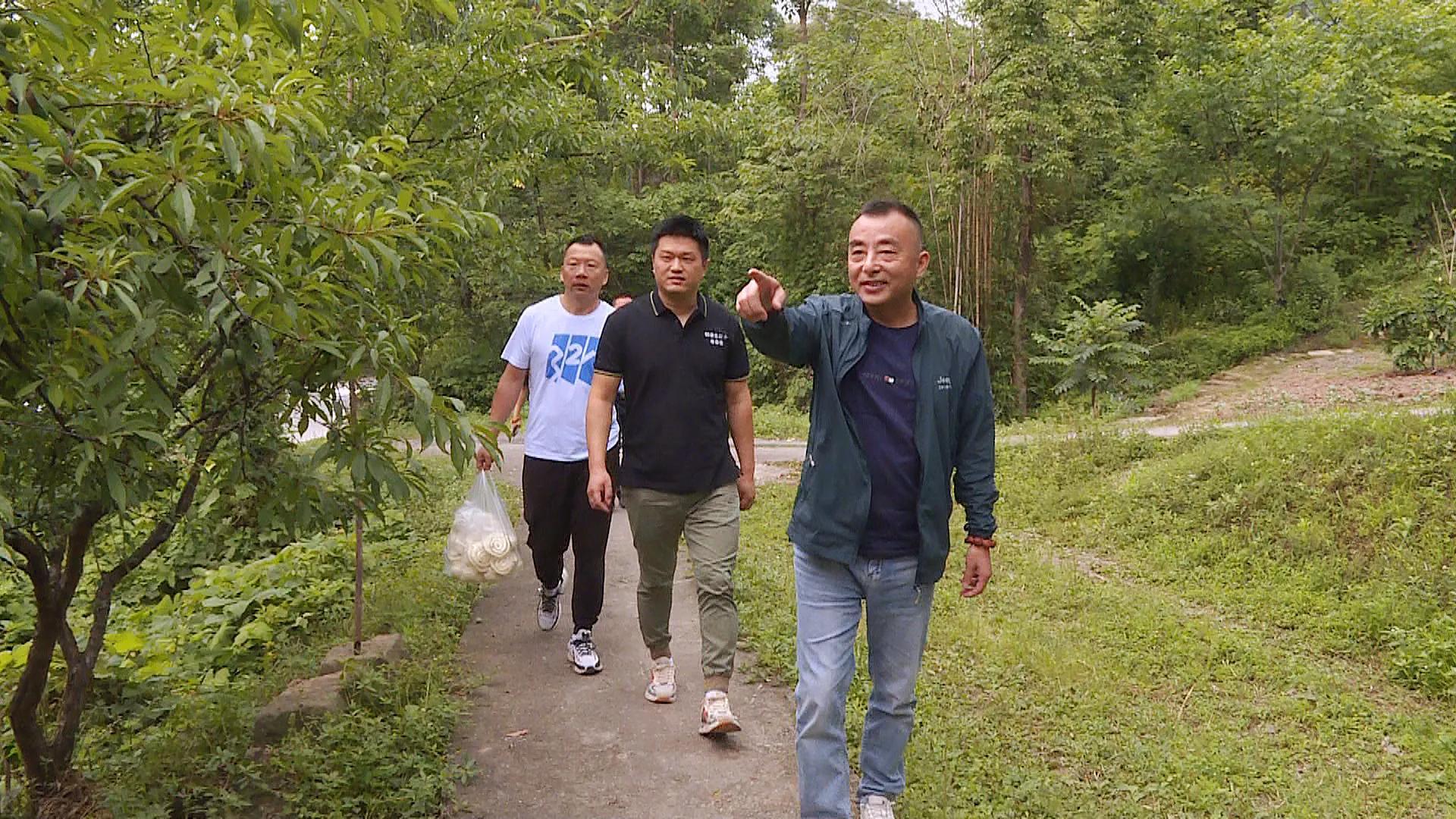铜梁蒲吕最新消息，区域发展的动态与前景展望