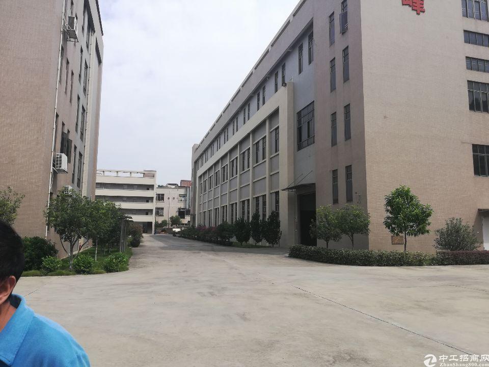 东莞长安上沙最新招工动态及其影响