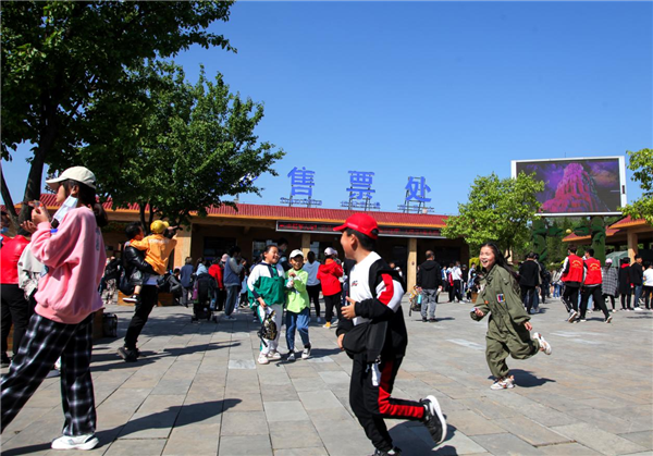 高陵长畔最新消息全面解读