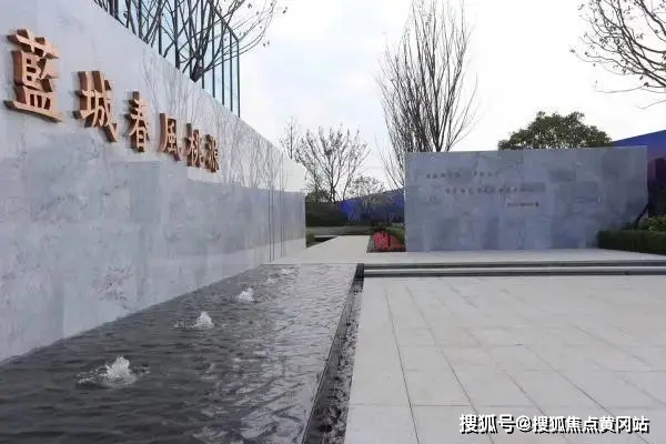 免宝宝股票最新消息全面解析