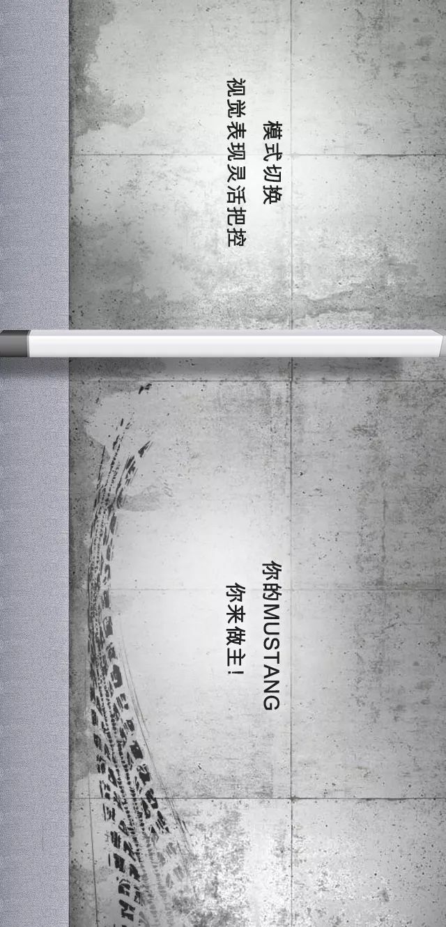 梁君诺最新消息，揭开他的多重身份与最新动态