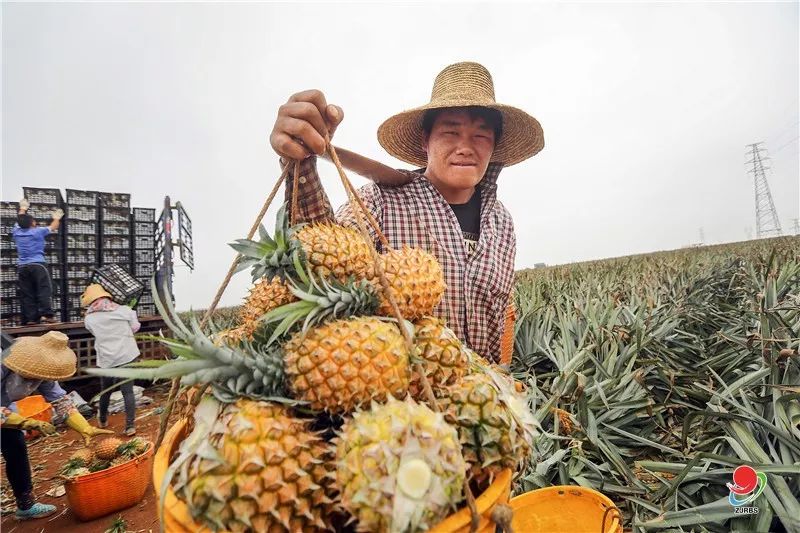 廉江赶集网最新招聘动态深度解析