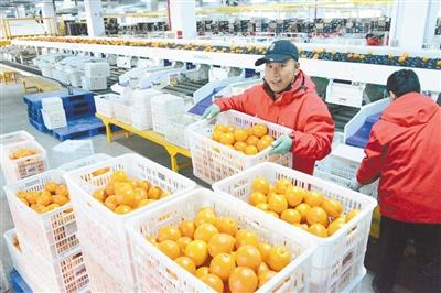 高碑店新发地最新消息，市场繁荣带动区域经济发展