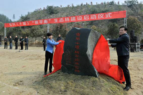 十堰林安最新动态，引领绿色发展的先锋力量