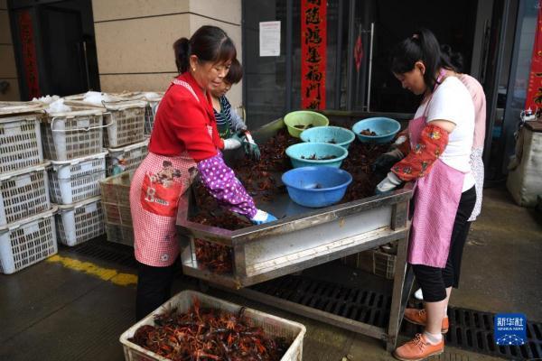 宿松新发地最新消息——区域发展与市场动态的深度解析